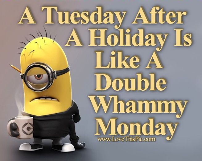 175681-A-Tuesday-After-A-Holiday-Is-Like-A-Double-Whammy-Monday
